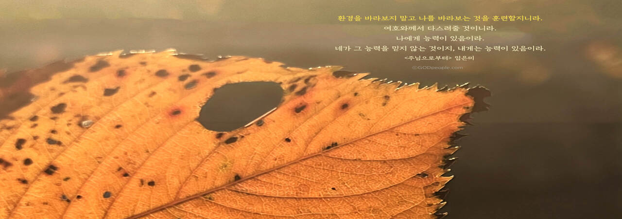 Read more about the article 인간관계 문제해결과 평안유지는 기도에 그 비결이 있습니다.