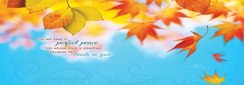 우리는 싸우기 위해 다시 태어났다