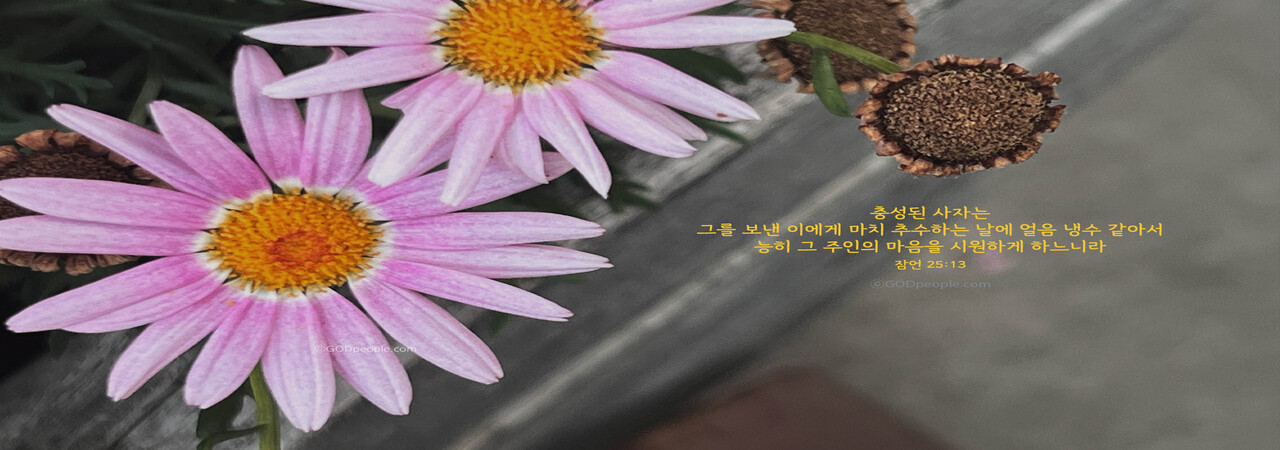 메뚜기로 살 것인가 사자로 살 것인가?