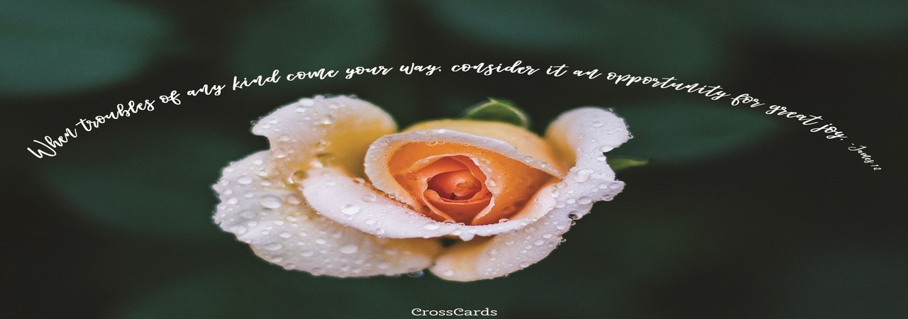 Read more about the article 조석 간에 변하는 감정에 지배당하지 말아야 합니다.