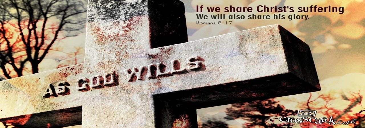 Read more about the article 때로는 제가 참 못된 목사라는 생각 때문에 마음이 편치 않습니다.