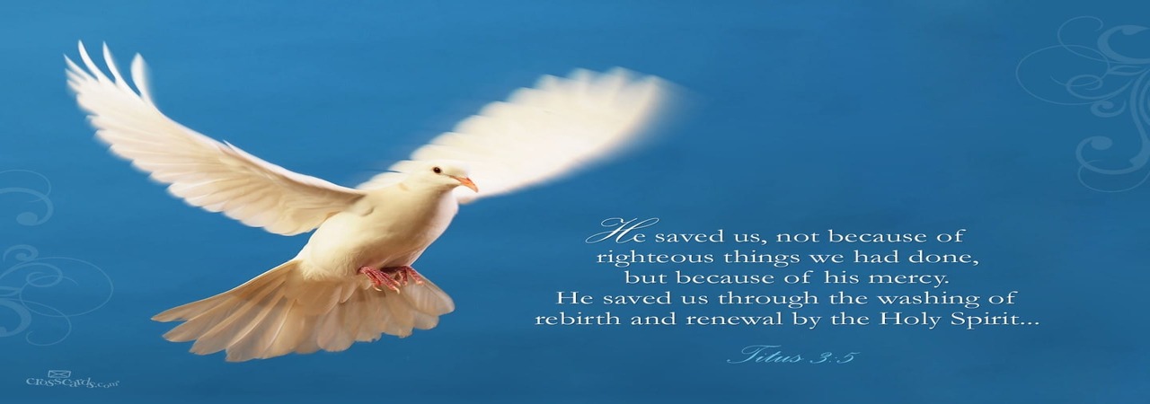 Read more about the article 교회는 병원이고 우리는 계속 치료 받는 환자입니다.