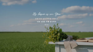 Read more about the article 자기 확신에 매몰된 자존심은 ‘나’라는 우상을 숭배하게 만듭니다.