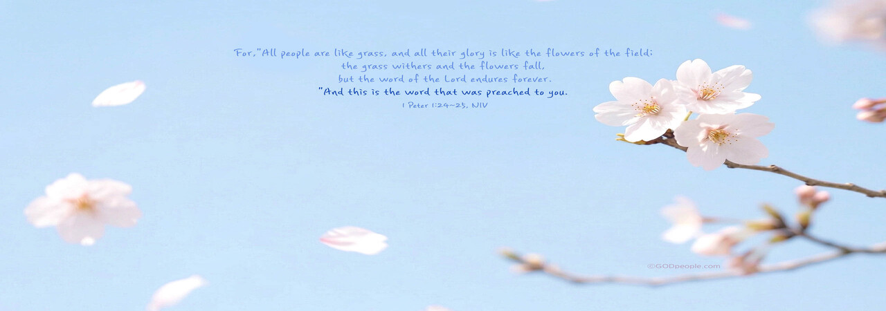 You are currently viewing 유튜브에서 나오는 은혜로운 설교가 위험할 수 있습니다.